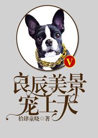 良辰美景寵上天