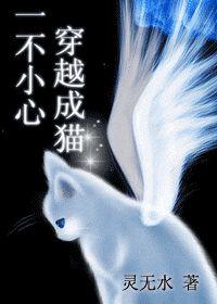 一不小心穿越成貓？