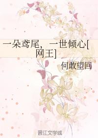 一朵鳶尾，一世傾心[網王]