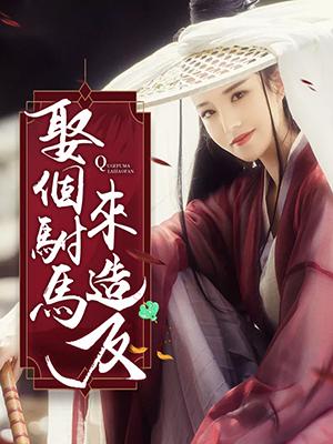 娶個驸馬來造反