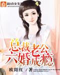 總裁老公六婚成瘾