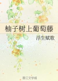 柚子樹上葡萄藤