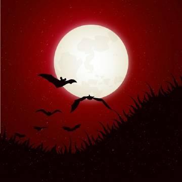 ［陰陽師］吸血姬想要殺了你