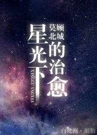 星光下的治愈