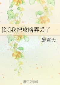 [綜]我把攻略弄丢了