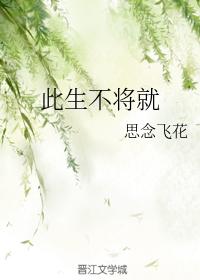 此生不将就