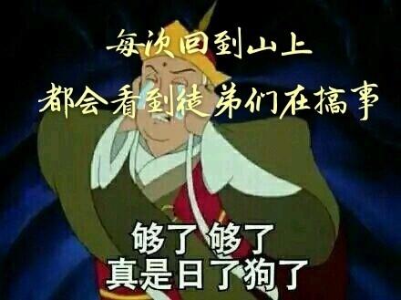 每次回到山上都會看到徒弟們在搞事