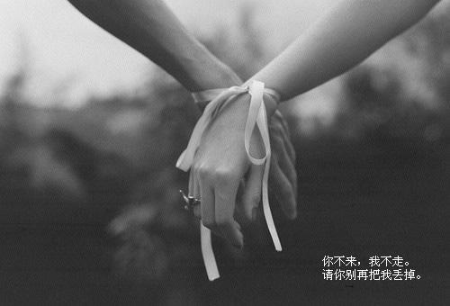 他們之間有愛情