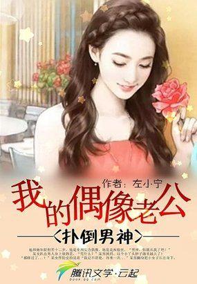 男神攻略：我的偶像老公