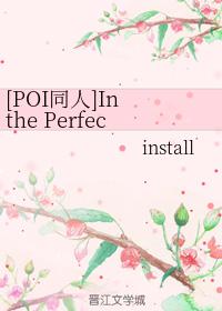 [POI同人]In the Perfect World