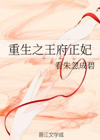 重生之王府正妃