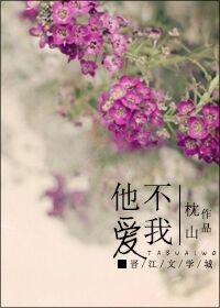 他不愛我