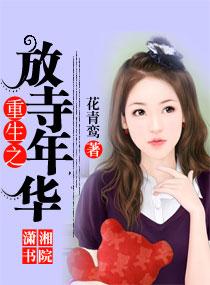 重生之放寺年華
