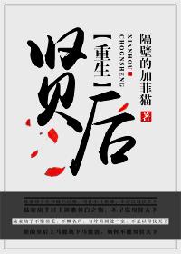 重生之賢後