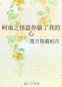 柯南之怪盜你偷了我的心