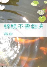 錦鯉不需翻身