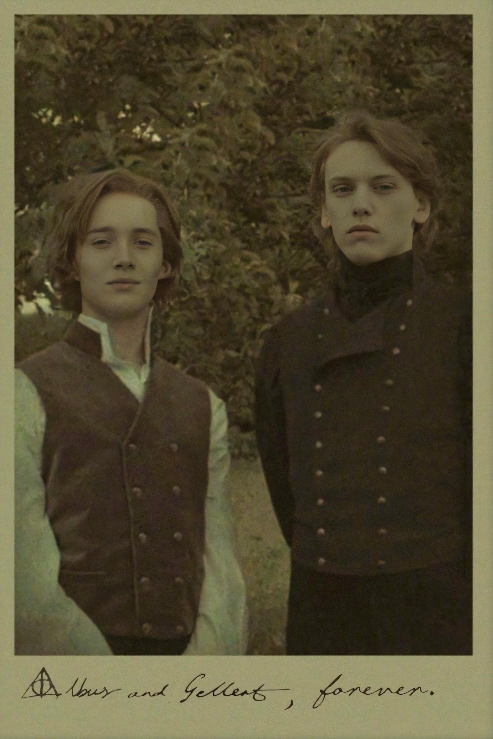 重生之家庭煮夫格林德沃的美滿生活