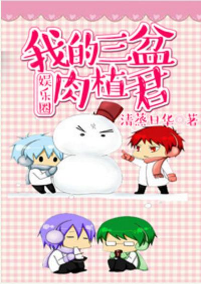 我的三盆肉植君