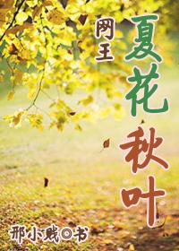 [網王]夏花秋葉