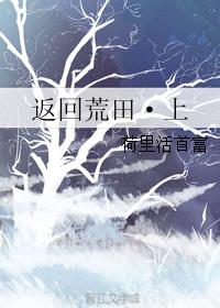 返回荒田·上