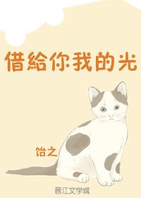 借給你我的光