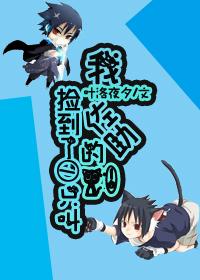 無限之我撿到一只叫佐助的貓