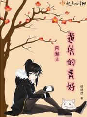 網游之遺失的美好