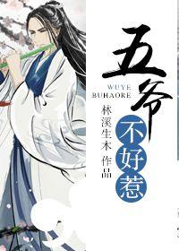 五爺不好惹(嫁給清代鑽石男)