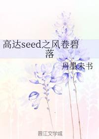 高達seed之風卷碧落