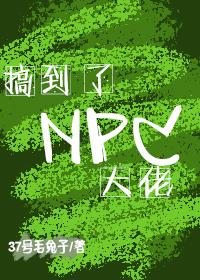 搞到了NPC大佬