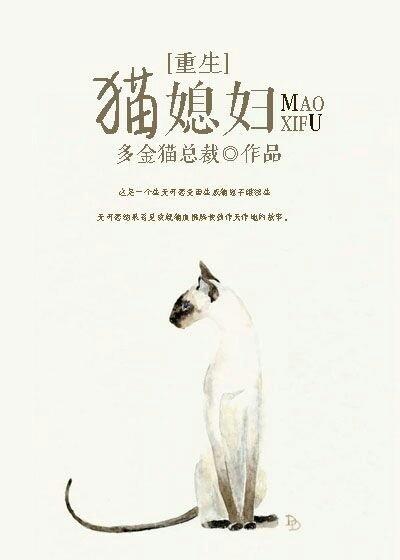 貓媳婦[重生]