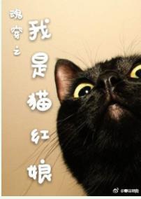 我是貓紅娘