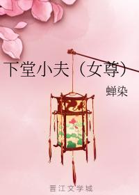 下堂小夫（女尊）