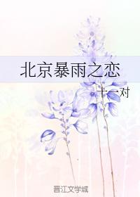 北京暴雨之戀