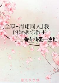 [全職-周翔同人]我的婚姻你做主