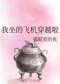 我坐的飛機穿越啦