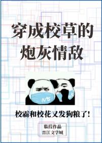 穿成校草的炮灰情敵