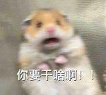 你身後是什麽東西