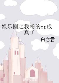 娛樂圈之我粉的cp成真了