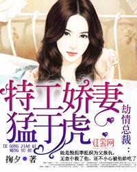 劫情總裁：特工嬌妻猛于虎