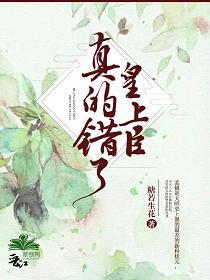 皇上臣真的錯了