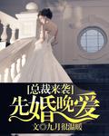 首席來襲：先婚晚愛