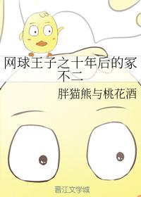 網球王子之十年後的冢不二