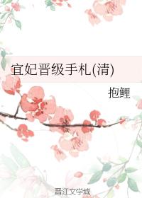 宜妃晉級手劄（清）
