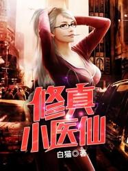 修真小醫仙