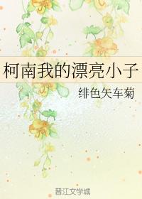 柯南我的漂亮小子