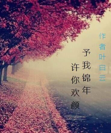 予我錦年，許你歡顏