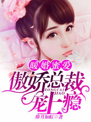 暖婚蜜愛，傲嬌總裁寵上瘾