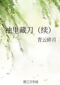 袖裏藏刀（續）