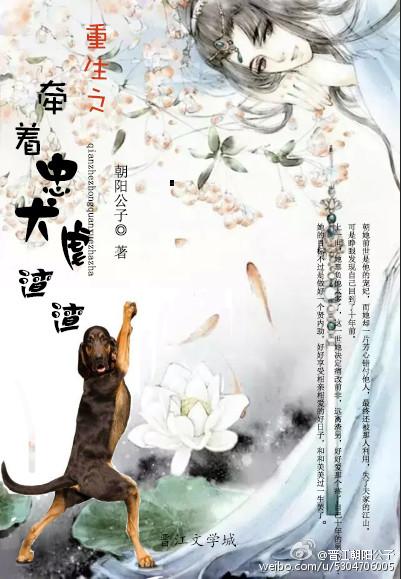 重生之牽着忠犬虐渣渣